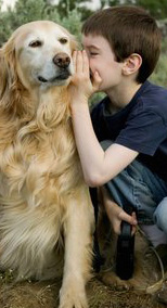 We can train your dog and help you train your puppy to get optimal results.