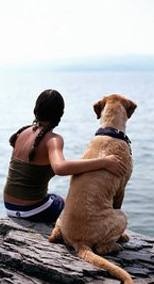 We can train your dog your help you train your puppy to get optimal results.