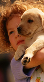 We can train your dog and help you train your puppy to get optimal results.